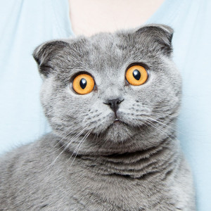 stock photo